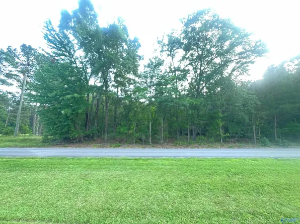 366 Charada Lake Rd, Rainbow City, AL 35906