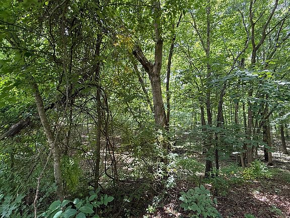 4th image of 0 Waterway Trl Lot 70B