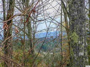 1 Shady Grove Rd #1, Sevierville, TN 37876