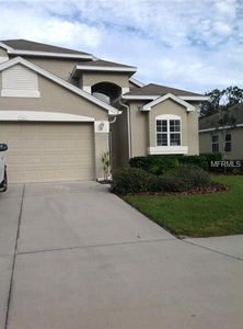 11843 Colony Lakes Blvd, New Port Richey, FL, 34654