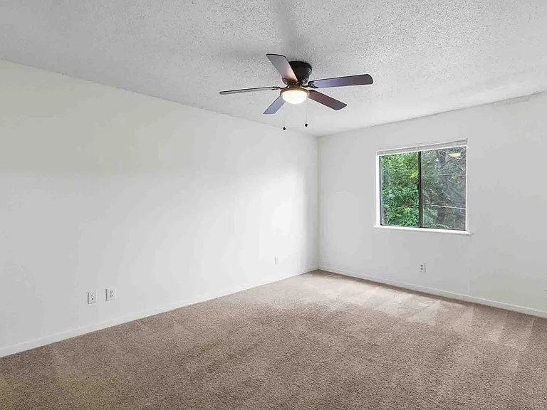 Chestnut Place Apartments — Photo 8