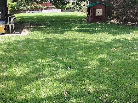 back yard with pecan tree