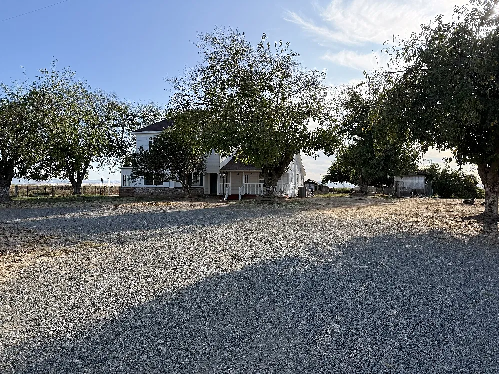3 bed, 248 sqft, $2,350 — Photo 4