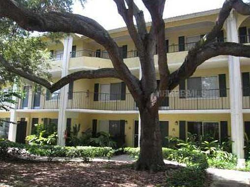 Large tree outside living room window