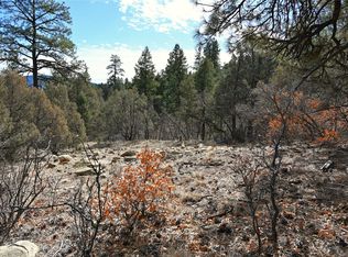 0 Bear Rd #1-LOT 12, Tierra Amarilla, NM 87575