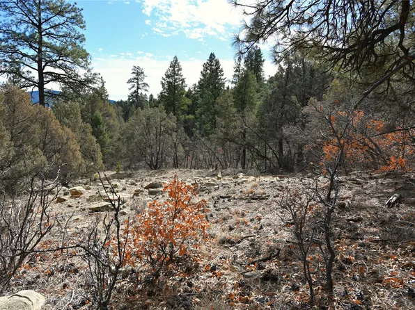 0 Bear Rd #1-lot 12, Tierra Amarilla, NM 87575
