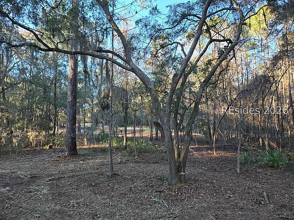 3rd image of 275 Spring Island Dr