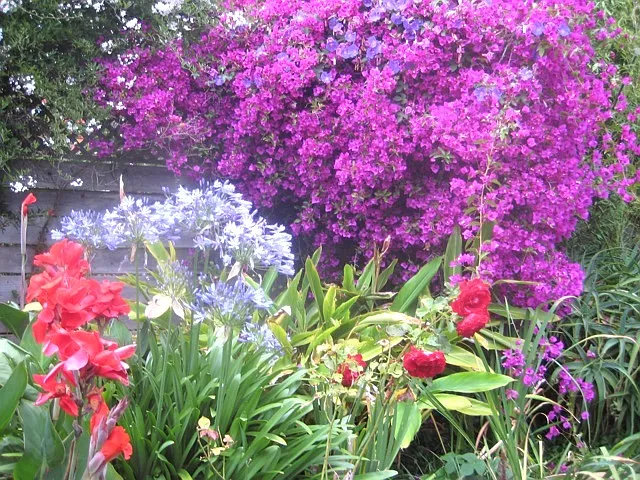 Flowers in garden