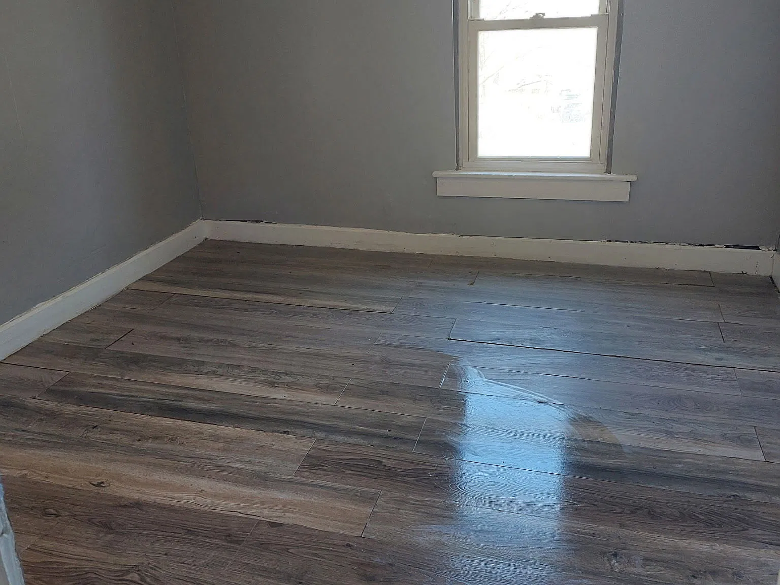 2 bed, 1.0 bath, 950 sqft, $1,595 — Photo 4