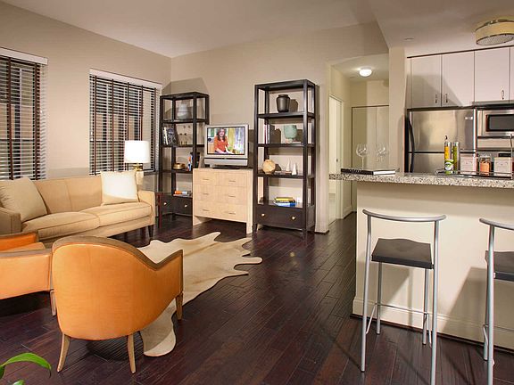 Living Room and Kitchen