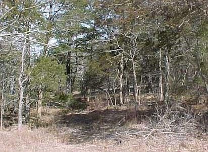 2nd image of 8830 Dock Rd