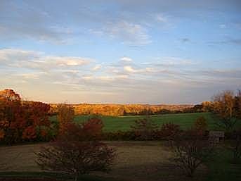 100 acre rear view