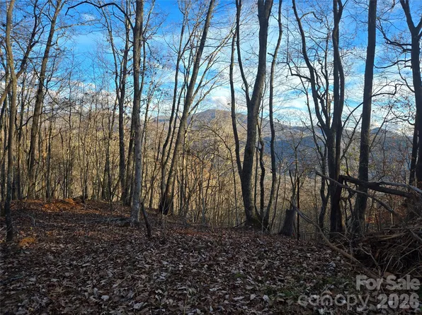 0 Brasstown Rd, Cullowhee, NC 28723