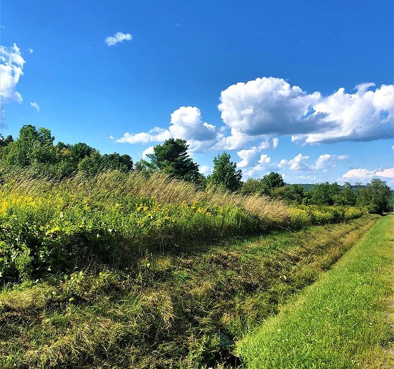 0 Demunn Rd Beaver Dams, NY, 14812 Apartments for Rent Zillow