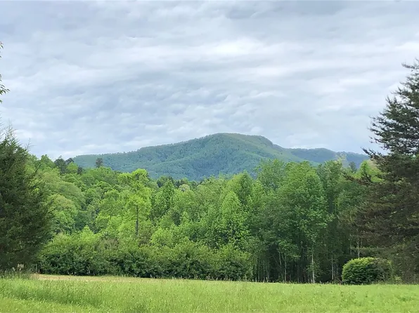 3929 Parker Padgett Rd, Old Fort, NC 28762