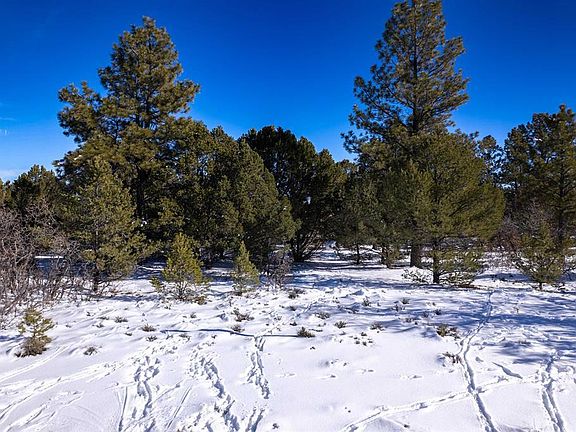 5th image of Lot 555 N Badger Trail