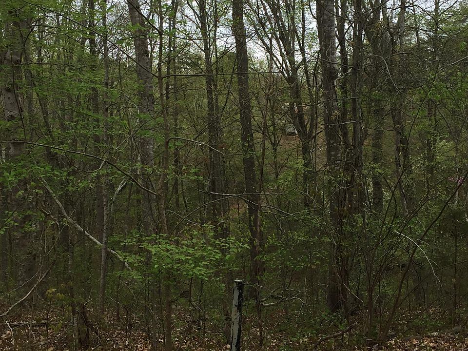2nd image of Bootbluff Trl
