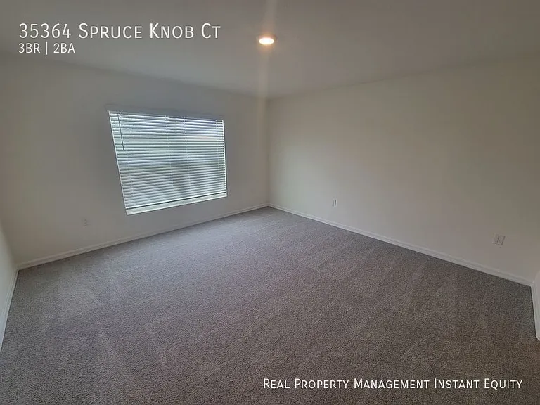 35364 Spruce Knob Ct — Photo 8