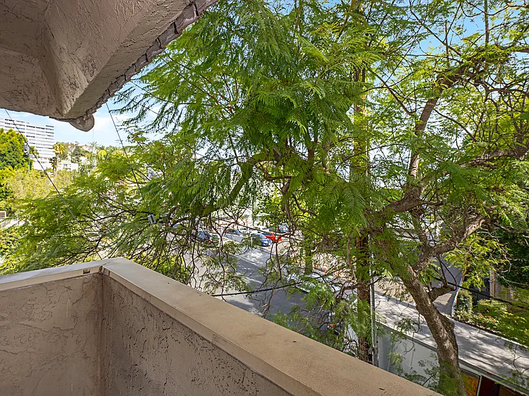 Ten Eleven Palm Avenue — Photo 29