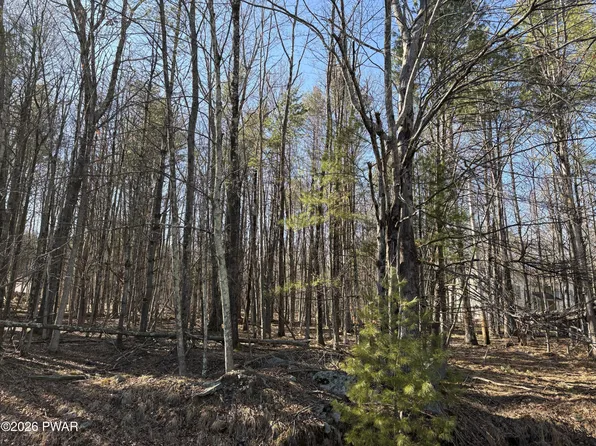LOT 983 Winterberry Dr, Milford, PA 18337