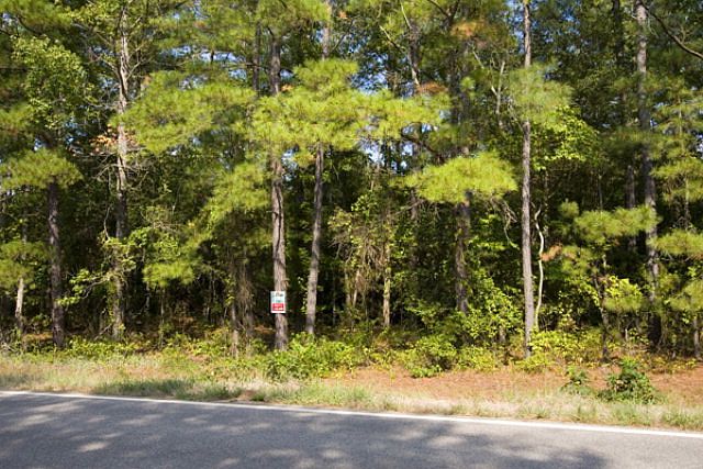 2nd image of Highway 305