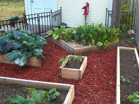 Garden with sand point well