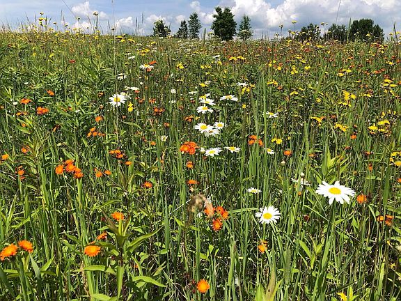 2nd image of Dixon Line Rd