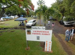 Highway 19 LOT 3, Laupahoehoe, HI 96764