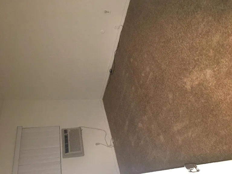 2nd bedroom brand new carpet