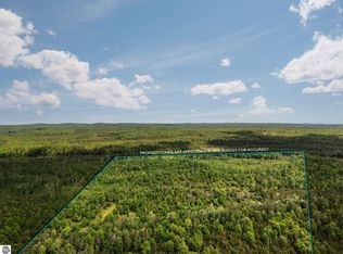 4011 W Forest Rd, Lake City, MI 49651
