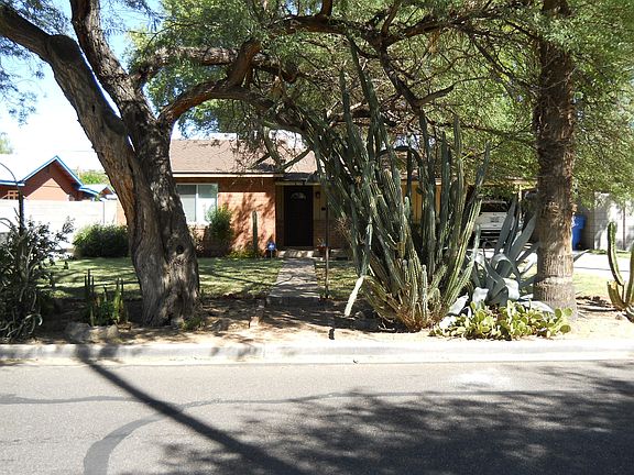 3rd image of 3126 E MULBERRY Drive