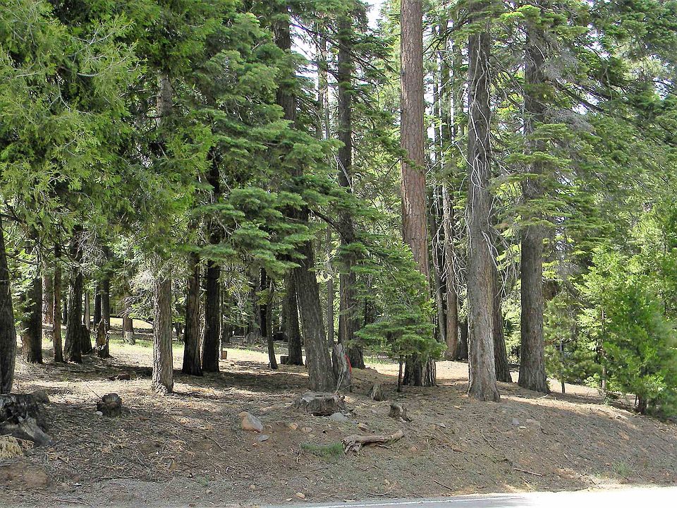 1st image of 1015 Timber Ridge Rd