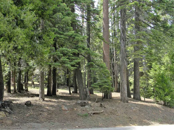 1015 Timber Ridge Rd, Westwood, CA 96137