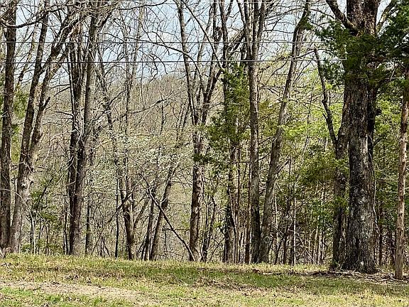 5th image of 8 Teal Point Rd