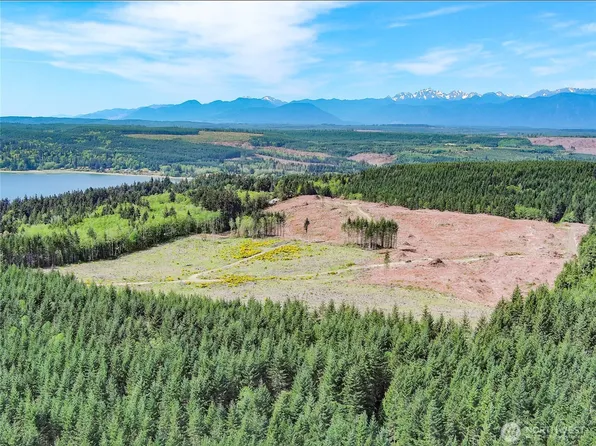 1 XXX Teal Lake Road, Port Ludlow, WA 98365