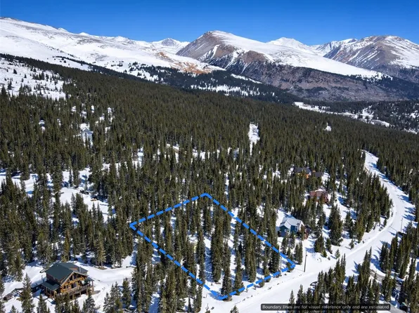 163 Prunes Pl, Fairplay, CO 80440