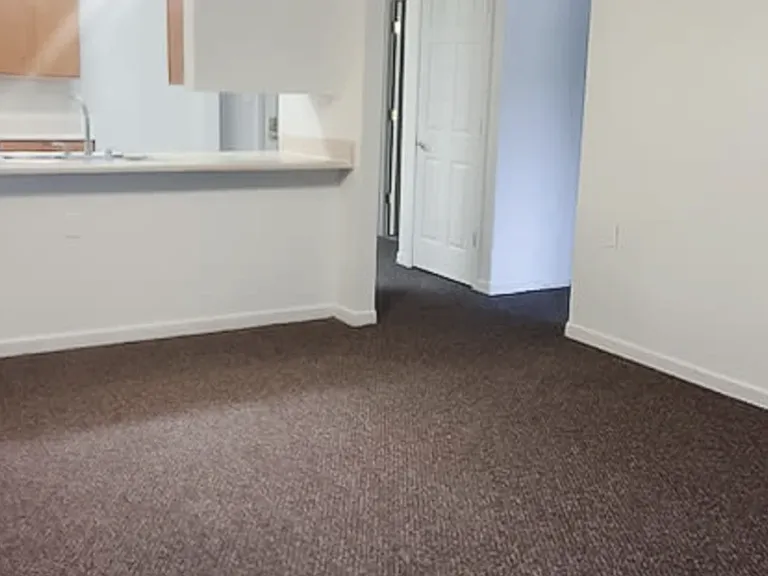 4321 Country Village Ln #4321 — Photo 8