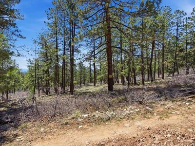 57 Wild Turkey Lane, Bayfield, CO, 81122