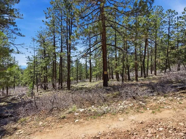 57 Wild Turkey Lane, Bayfield, CO 81122