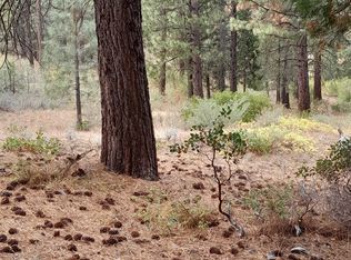 928 Blazing Star #15, Portola, CA 96122