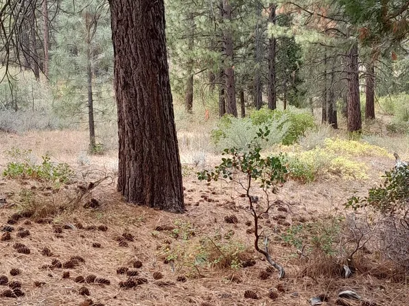 928 Blazing Star #15, Portola, CA 96122