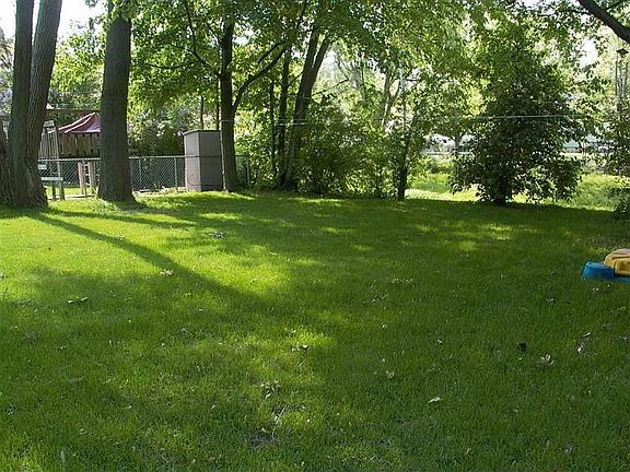Back yard
