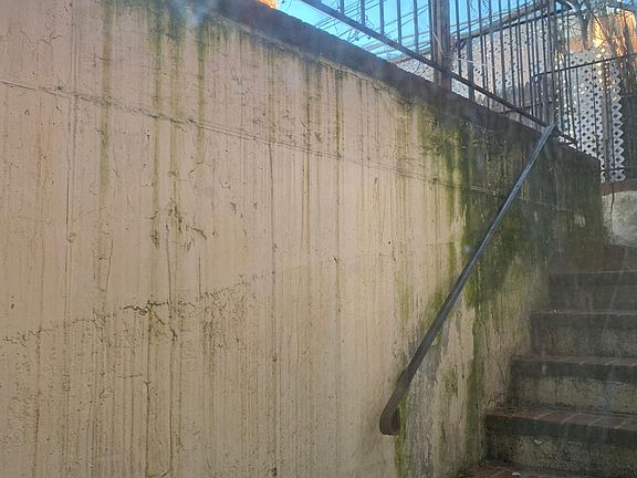 2nd image of 10119 Martense Ave APT 1R
