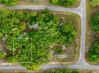 Magnolia Dr Lot 19, Ocklawaha, FL 32179