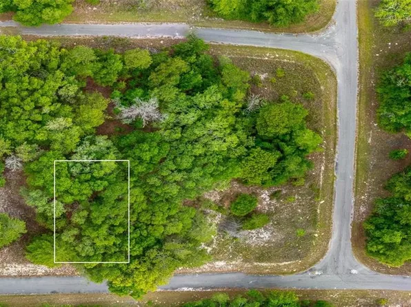 Magnolia Dr Lot 19, Ocklawaha, FL 32179