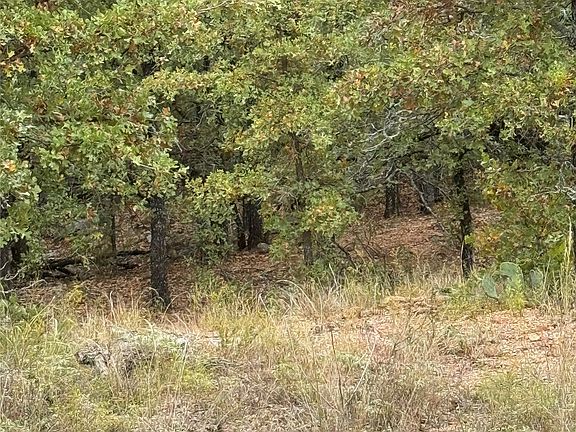 5th image of 316 County Rd #458