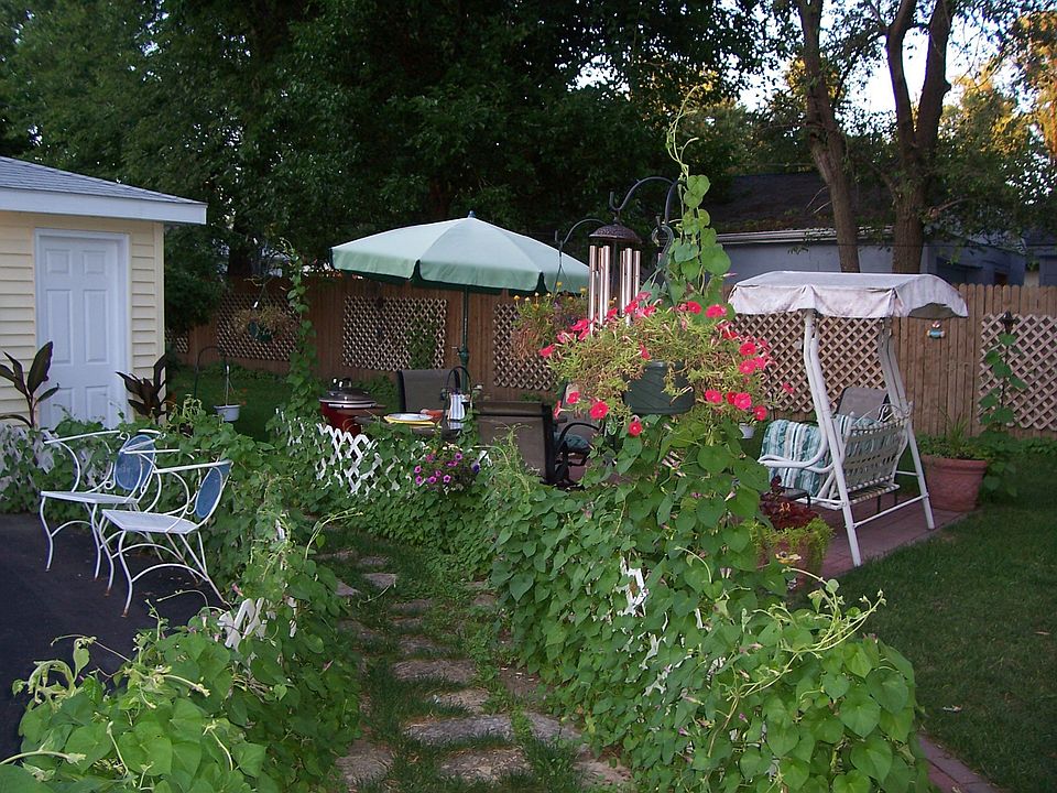 Backyard Serenity