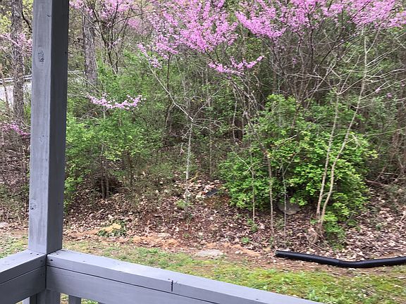 View off front porch