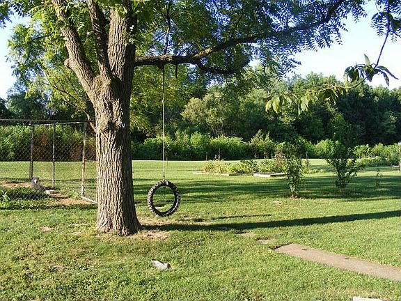 Backyard tire swing