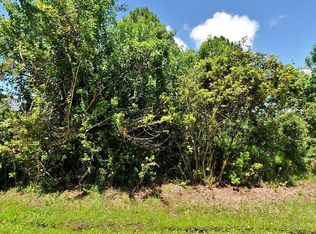 4164 SW Elba St, Port Saint Lucie, FL 34953